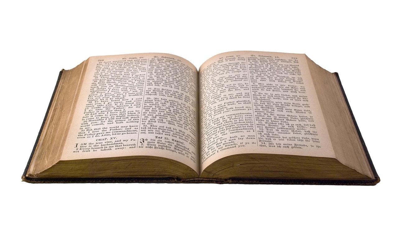 5 Rekomendasi Buku Berpikir Kritis Terbaik dan Urutan Bacanya