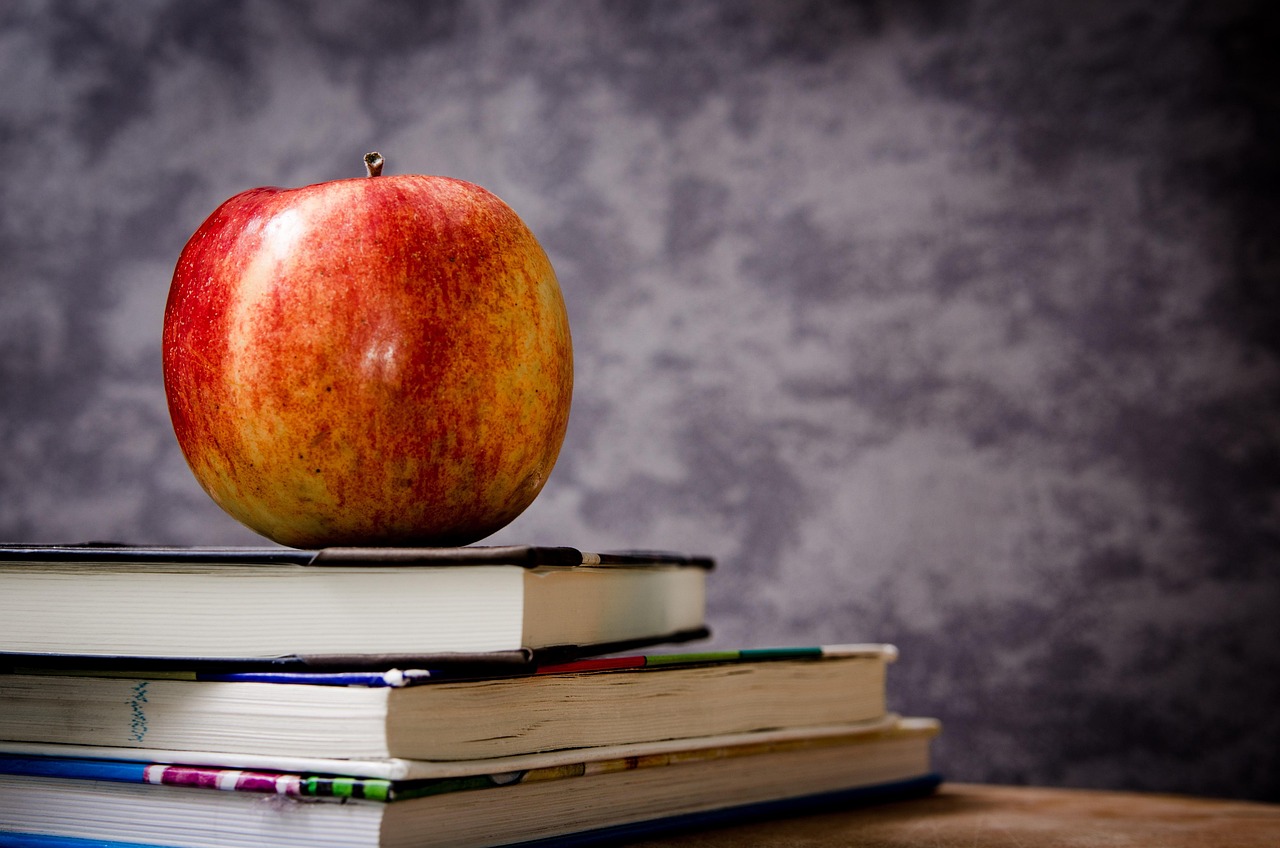 7 Rekomendasi Buku untuk Melatih Berpikir Kritis (Urutan Baca untuk Pemula)