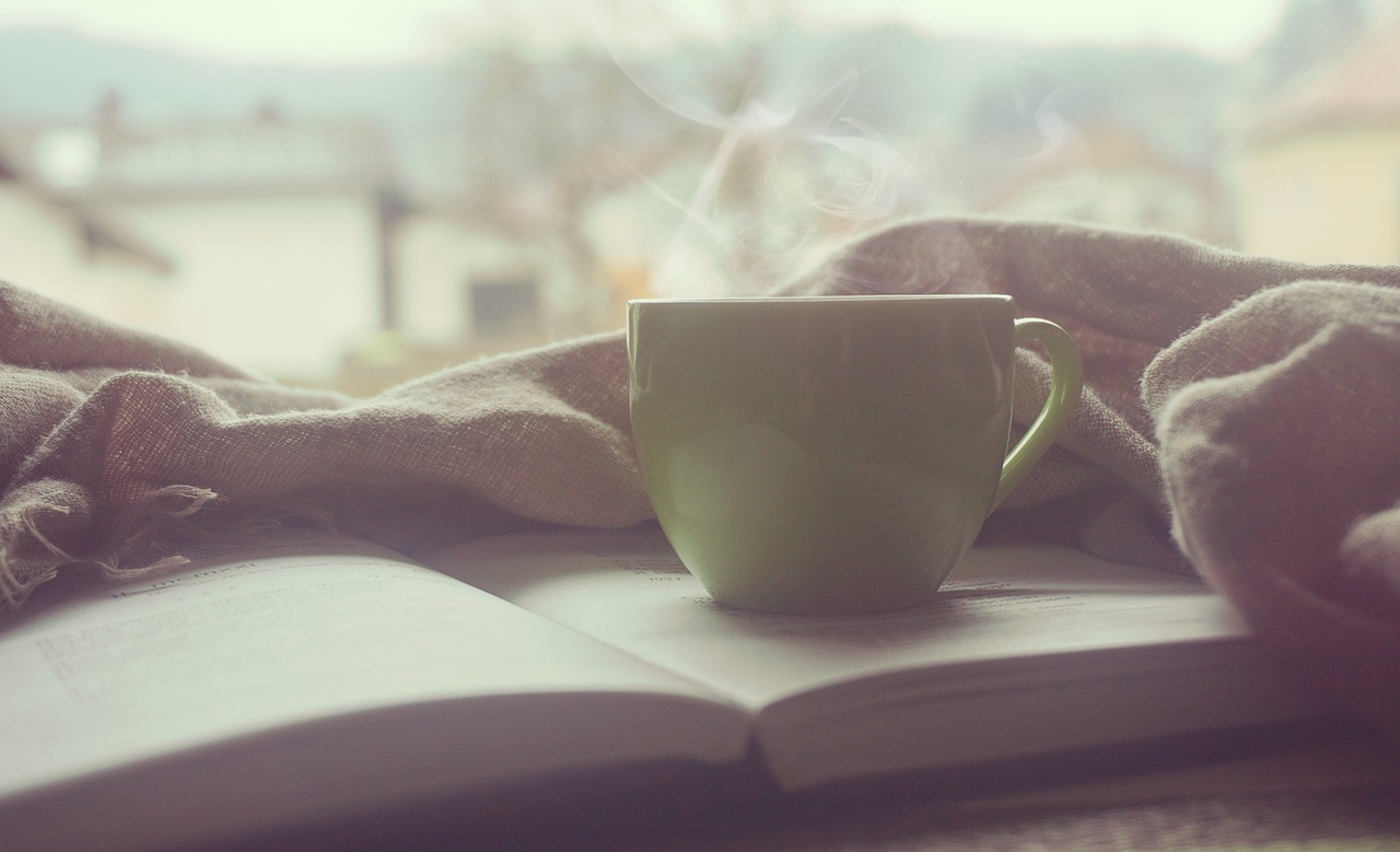 Perbedaan Membaca Buku di Pagi dan Malam: Kapan Otak Paling Mudah Menyerap?